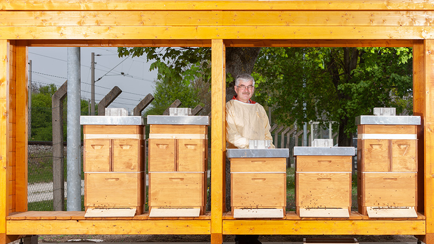 BMW Special Sales Sustainability Hub Social Employee engagement Man standing in wooden building structure 
